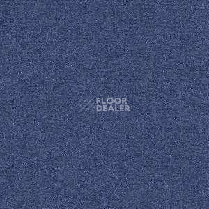 Ковролин Radici Nexus Marino 8263 фото 1 | FLOORDEALER
